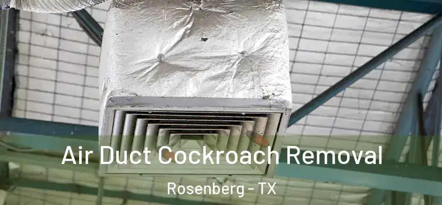 Air Duct Cockroach Removal Rosenberg - TX