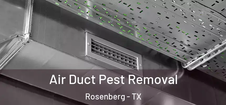 Air Duct Pest Removal Rosenberg - TX