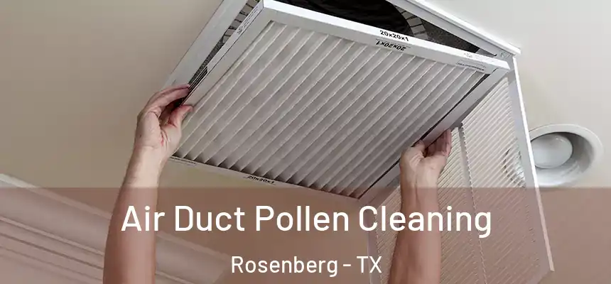 Air Duct Pollen Cleaning Rosenberg - TX