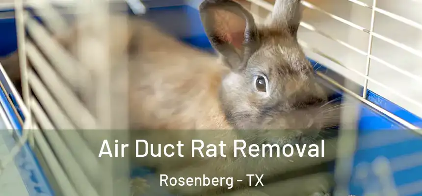  Air Duct Rat Removal Rosenberg - TX
