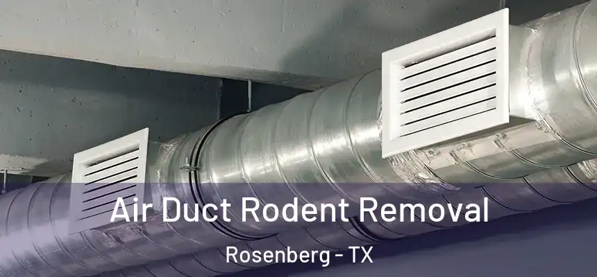 Air Duct Rodent Removal Rosenberg - TX
