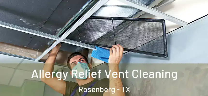 Allergy Relief Vent Cleaning Rosenberg - TX