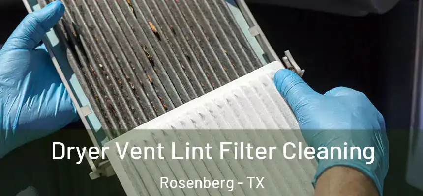 Dryer Vent Lint Filter Cleaning Rosenberg - TX