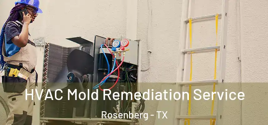 HVAC Mold Remediation Service Rosenberg - TX