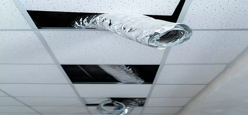 Our Air Duct Pet Hair Removal Services in Rosenberg, TX