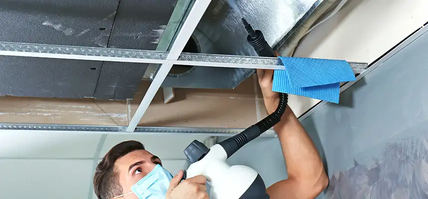 Our Air Duct Rodent Removal Services in Rosenberg, TX