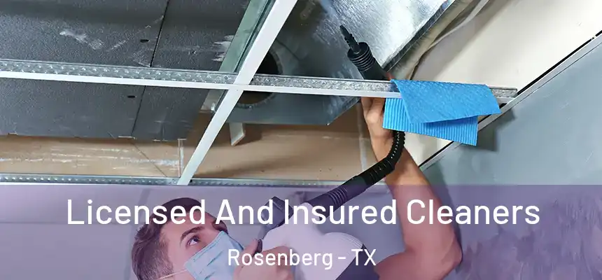 Licensed And Insured Cleaners Rosenberg - TX