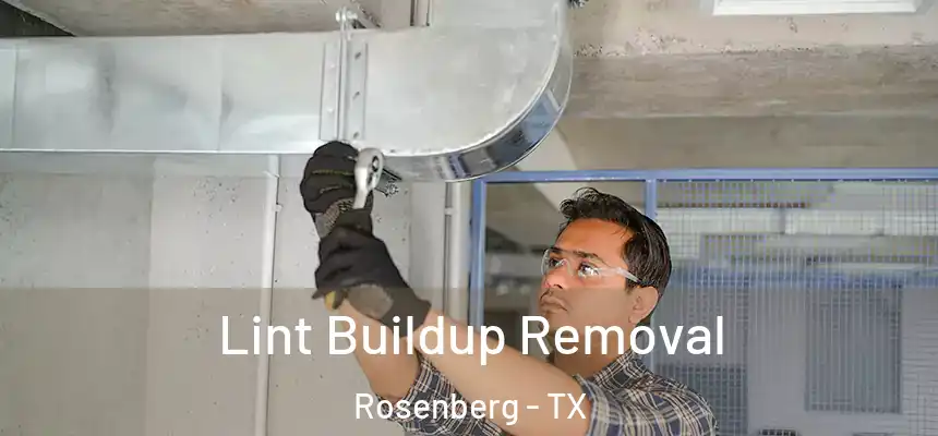  Lint Buildup Removal Rosenberg - TX
