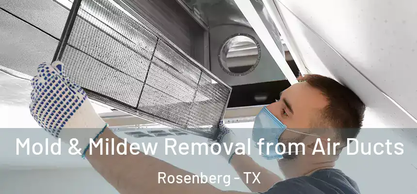  Mold & Mildew Removal from Air Ducts Rosenberg - TX