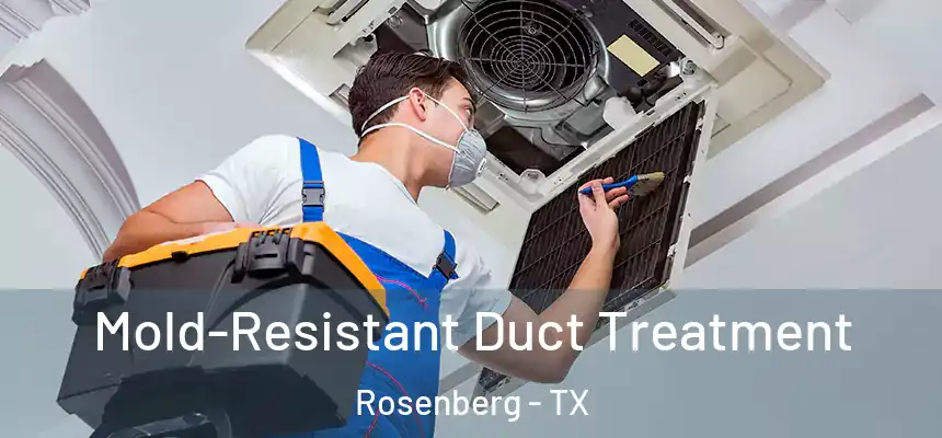  Mold-Resistant Duct Treatment Rosenberg - TX