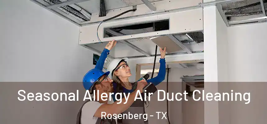  Seasonal Allergy Air Duct Cleaning Rosenberg - TX