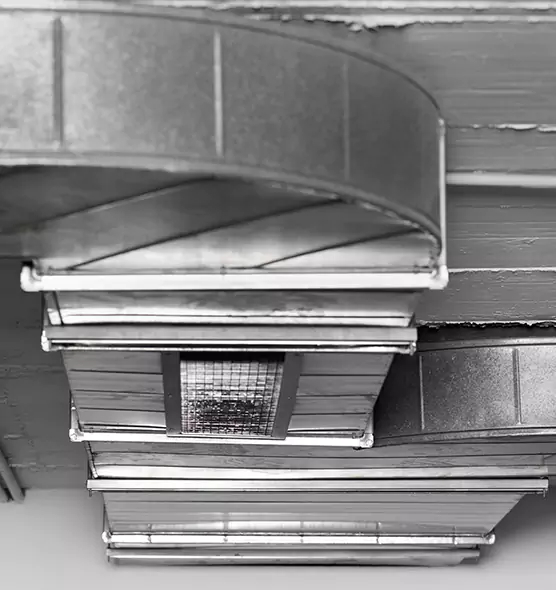 Professional Air Duct Pest Removal in Rosenberg, TX