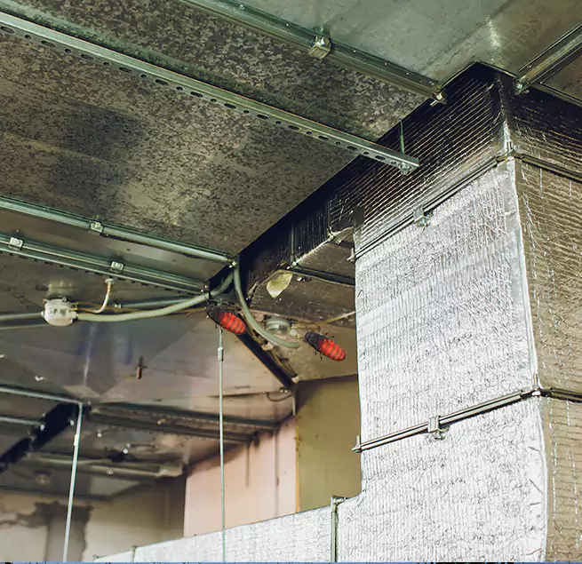 Why Homeowners & Businesses Trust Us in Rosenberg, TX?