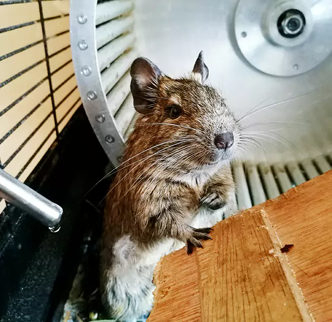 Why Homeowners & Businesses Trust Us Rosenberg, TX?