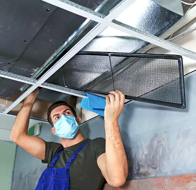 Why Homeowners Businesses Trust Us in Rosenberg, TX